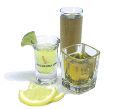 shotfeat.gif